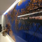 Custom Vinyl Wall Murals IMG 4744 150x150